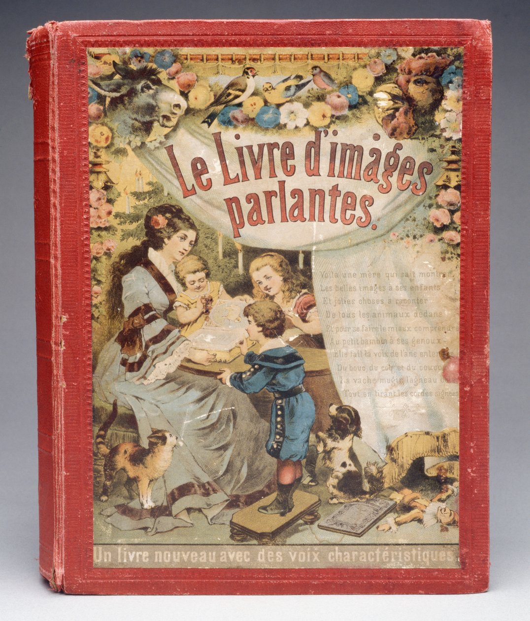 Cover of Le livre d