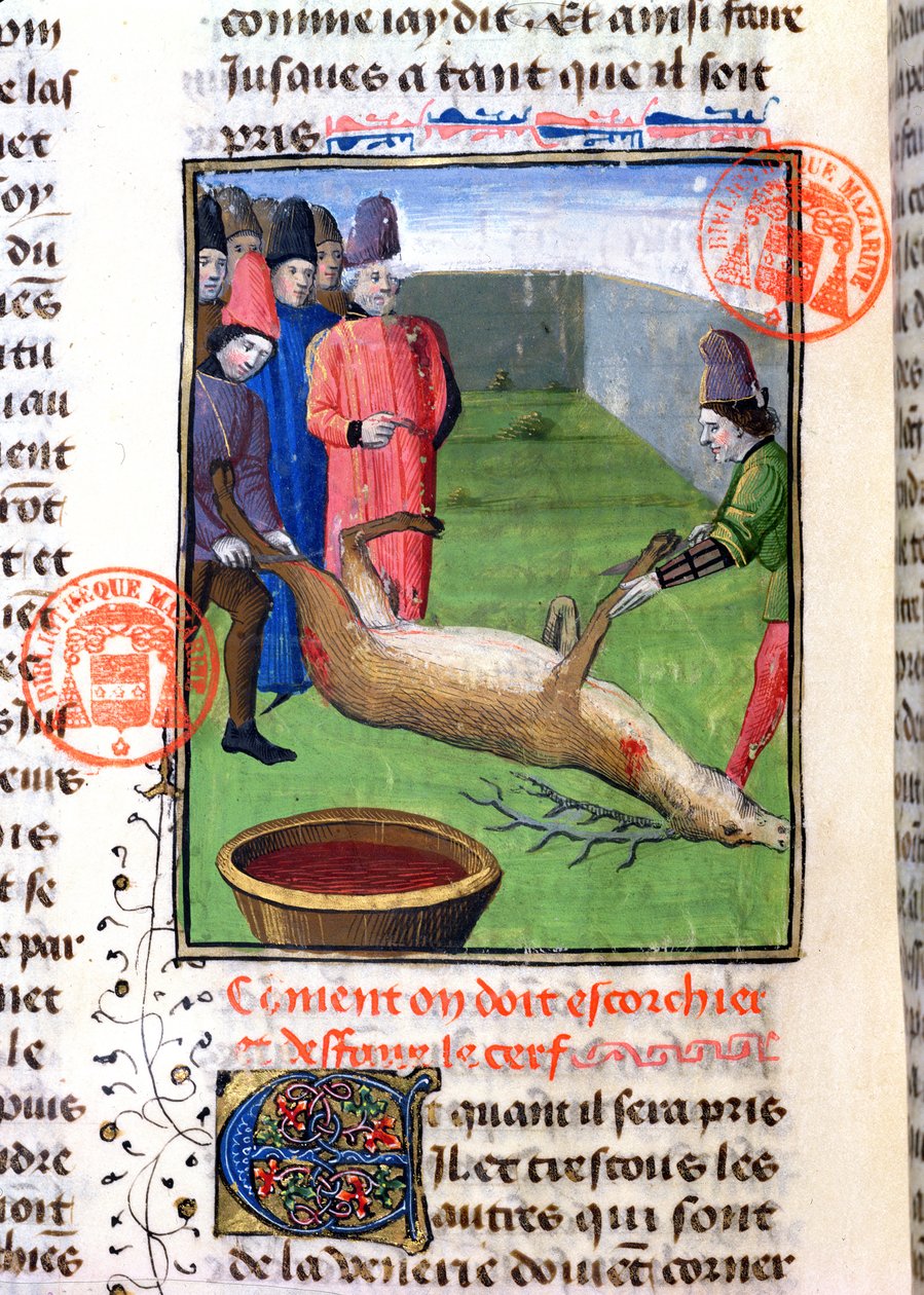 قطع أرجل الأيل الميت ، من Livre de la Chasse بواسطة Gaston Phebus de Foix (1331-91) بواسطة المدرسة الفرنسية