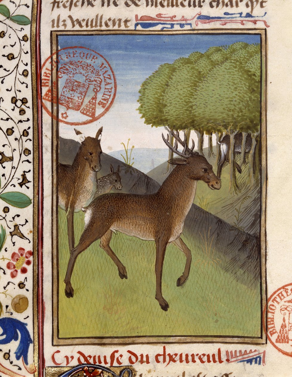 Deer and deer - in “” The Hunting Book of Gaston Phoebus, Count of Foix, Lord of Béarn”” بواسطة المدرسة الفرنسية