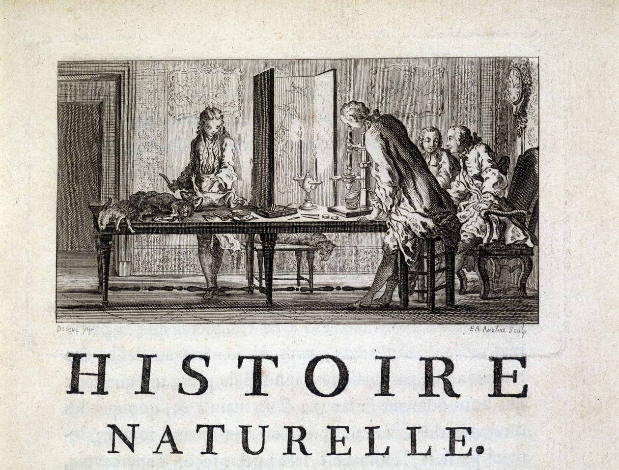 Dissection des animaux - in “” Histoire naturelle, générale et particular”” by Buffon بواسطة المدرسة الفرنسية