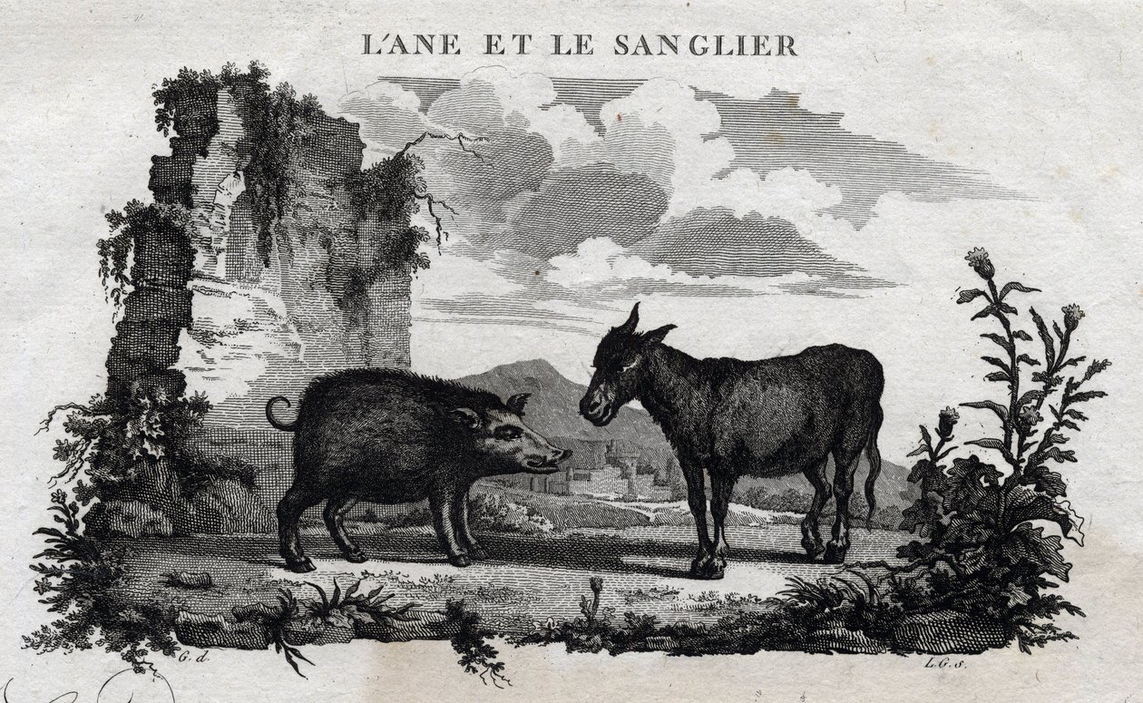 الحمار والخنزير. حكاية Esope. (الكاتب اليوناني Esopo أو Ecopus ، القرن السادس قبل الميلاد) كتبه Guillaume Montfort and Gravees بواسطة Beauble في عام 1801. بواسطة المدرسة الفرنسية
