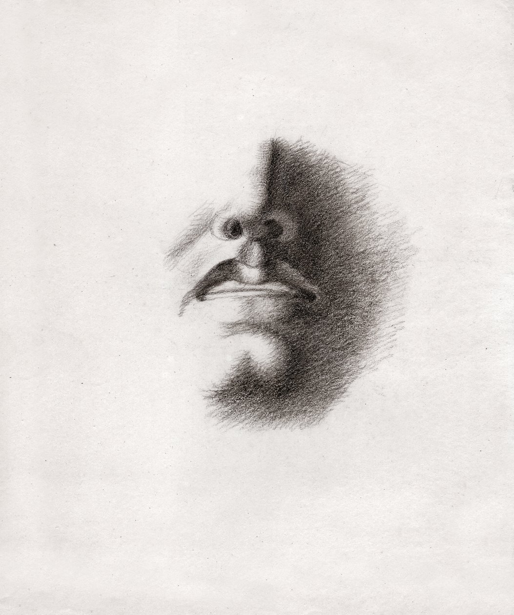 وجه رجل. (الرسم ، حوالي ١٨٣٠) بواسطة المدرسة الفرنسية