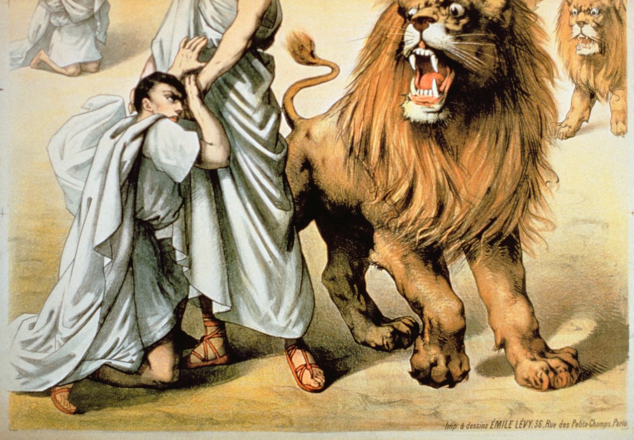  بواسطة المدرسة الفرنسية