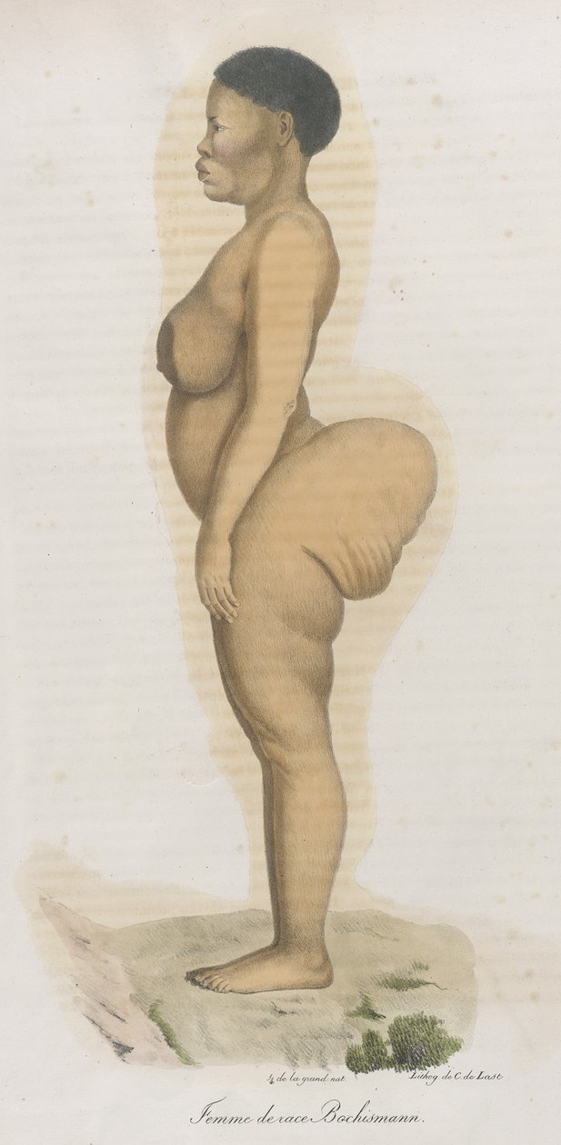 "Femme de Race Bochismann". من الواضح أن هذه اللوحة عبارة عن صورة لسارة (سارتي) بارتمان (1789-1815) التي كانت خويزانية تم إحضارها من جنوب إفريقيا لعرضها على الجمهور في بيكاديللي تحت عنوان "هوتنتوت فينوس" بسبب ما كان بواسطة المدرسة الفرنسية