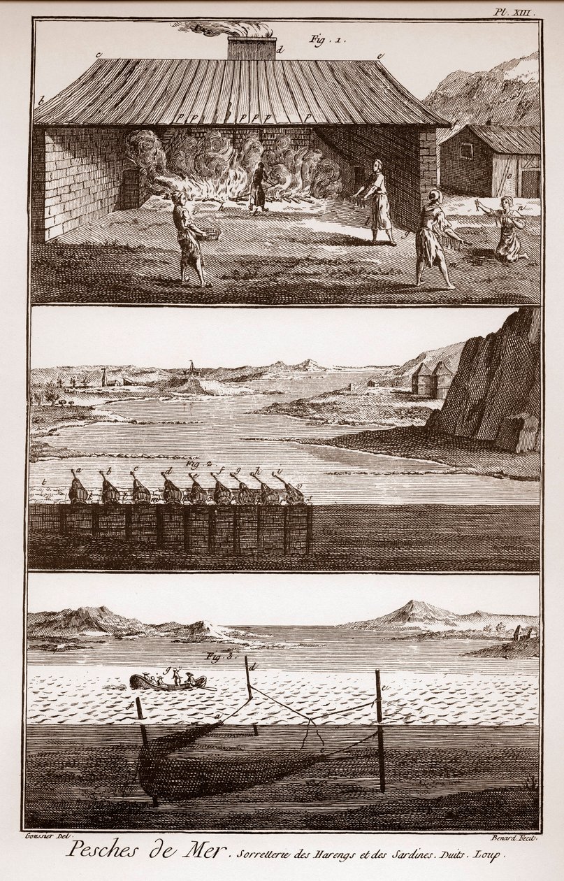 صيد السمك والرنجة والسردين - Peches de Mer - Sorretterie des herring et des sardines - "" La Grande Encyclopedie، ou Dictionnaire Raisonne des Sciences، des Arts et des Metiers "" (موسوعة أو قاموس العلوم والفنون والمهن) بقلم ديني بواسطة المدرسة الفرنسية