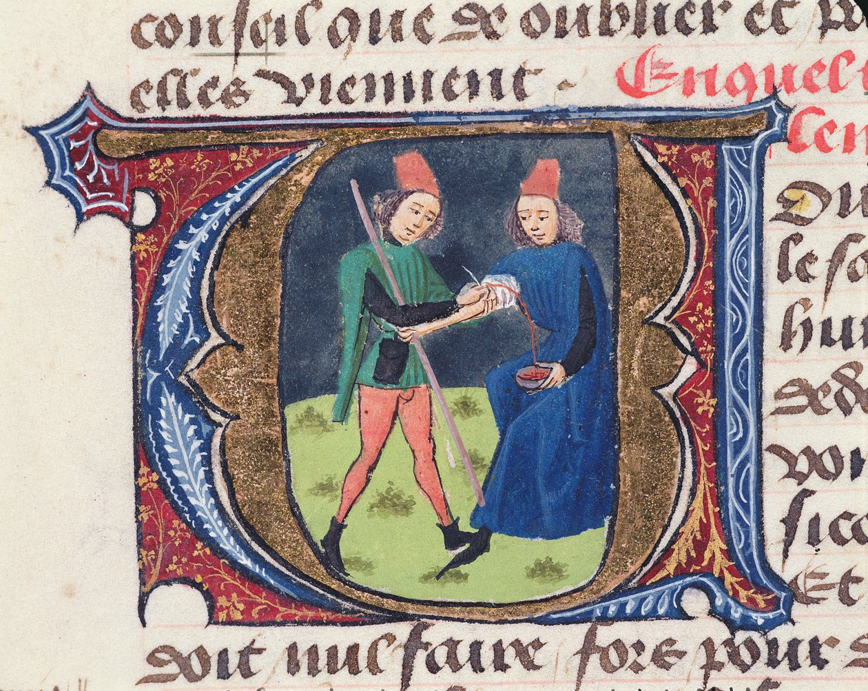 الورقة ١٩ ص إراقة الدماء ، من Traite de Medecine بواسطة Aldebrande de Florence ، 1356 بواسطة المدرسة الفرنسية