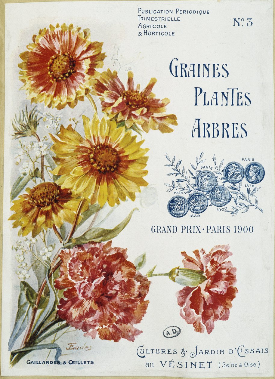 Gaillardes and carnations - غلاف مجلة Seeds Plants Trees عدد 3 بواسطة المدرسة الفرنسية