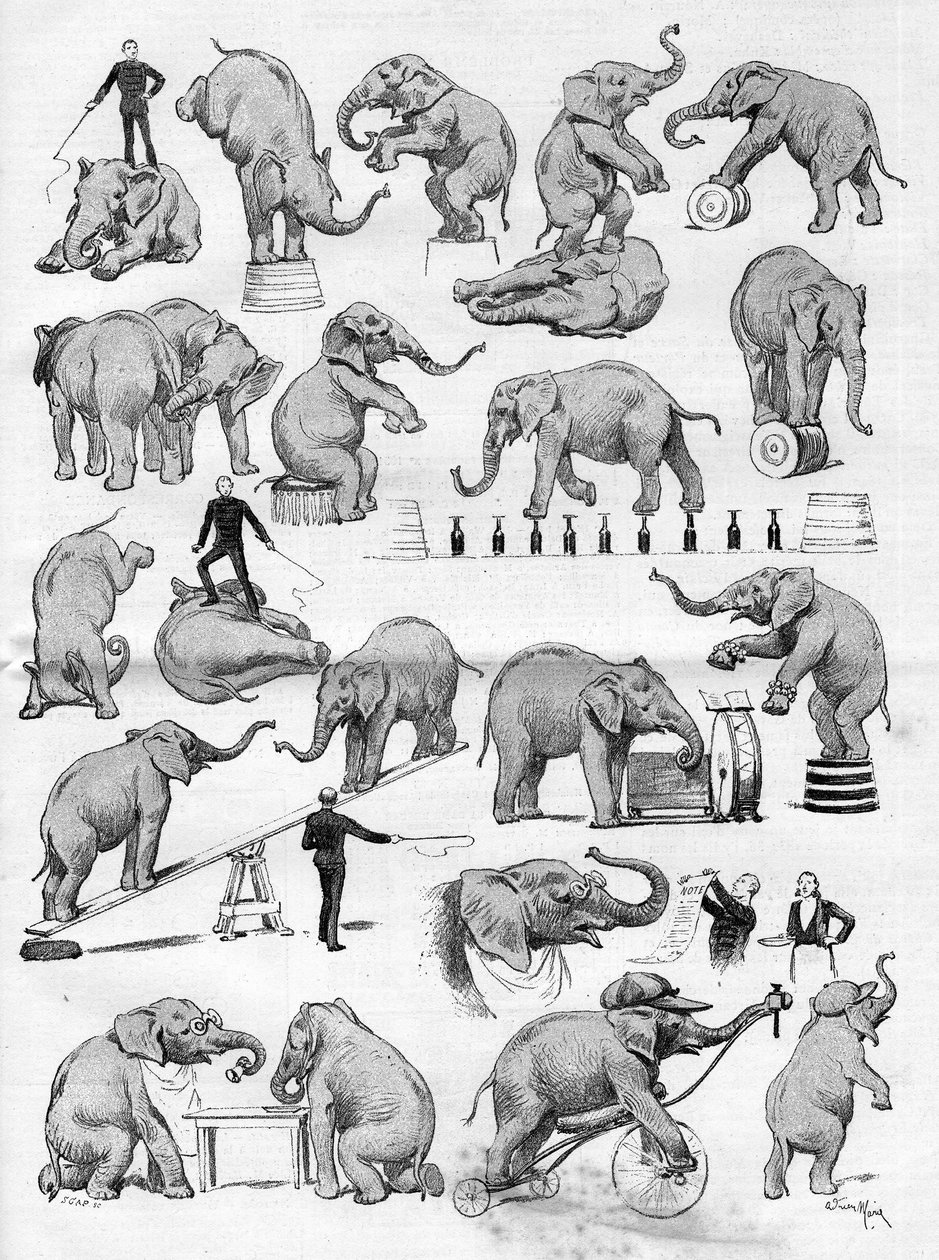 استقر سيرك Geo Lockart الشهير بأفياله في ميدان سباق الخيل في باريس ، في "" The Illustrous World " بواسطة المدرسة الفرنسية