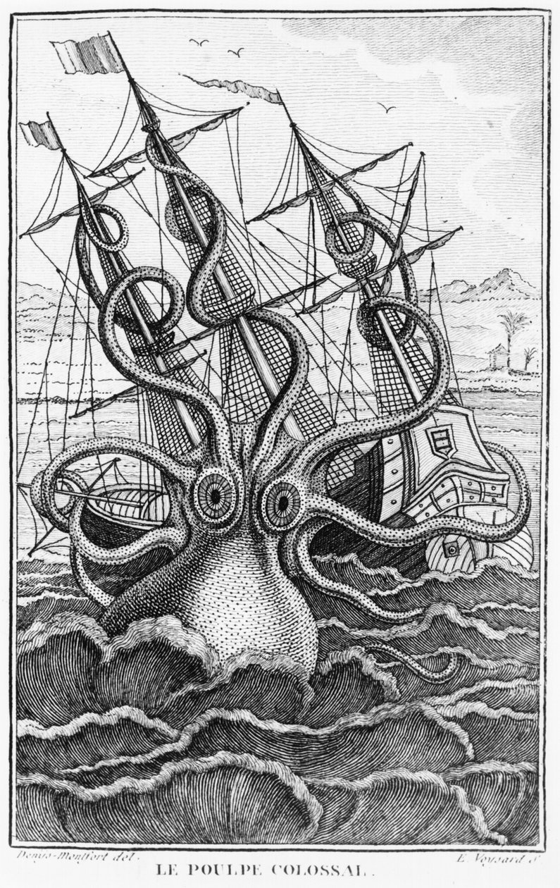 الأخطبوط العملاق ، التوضيح من LHistoire Naturelle Generale et Particuliere des Mollusques بواسطة Denys-Montfort ، ج. 1802-03 بواسطة المدرسة الفرنسية