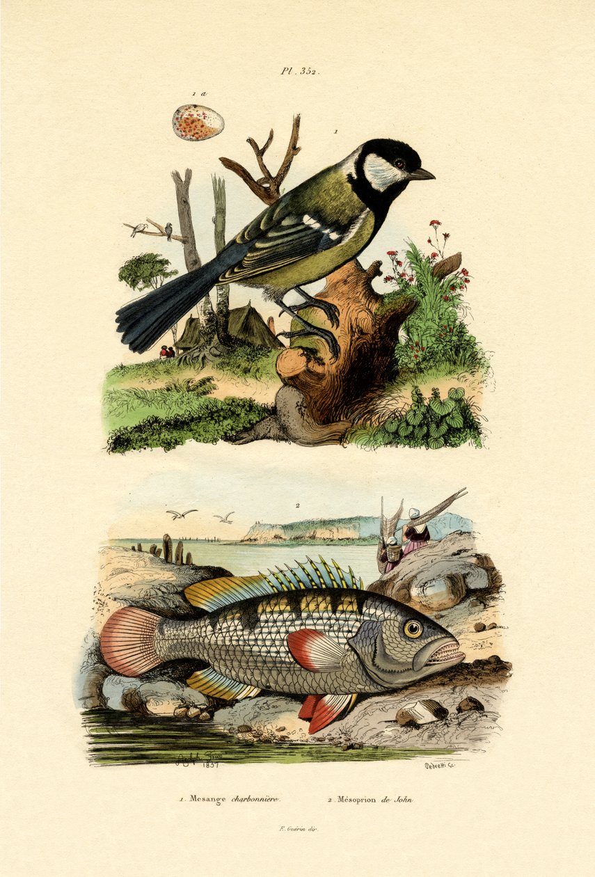 الحلمة الكبرى ، 1833-1839 بواسطة المدرسة الفرنسية