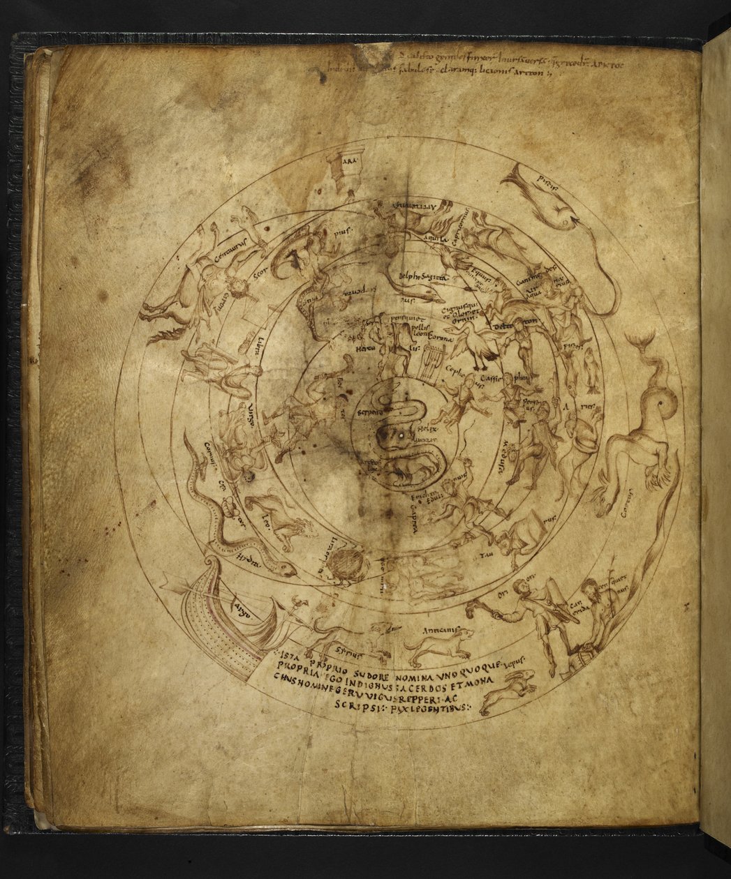 Harley 647 f.21v رسم تخطيطي لنصف الكرة الأرضية الشمالي والجنوبي ، من "أراتوس" لماركوس توليوس شيشرون (ورق). بواسطة المدرسة الفرنسية