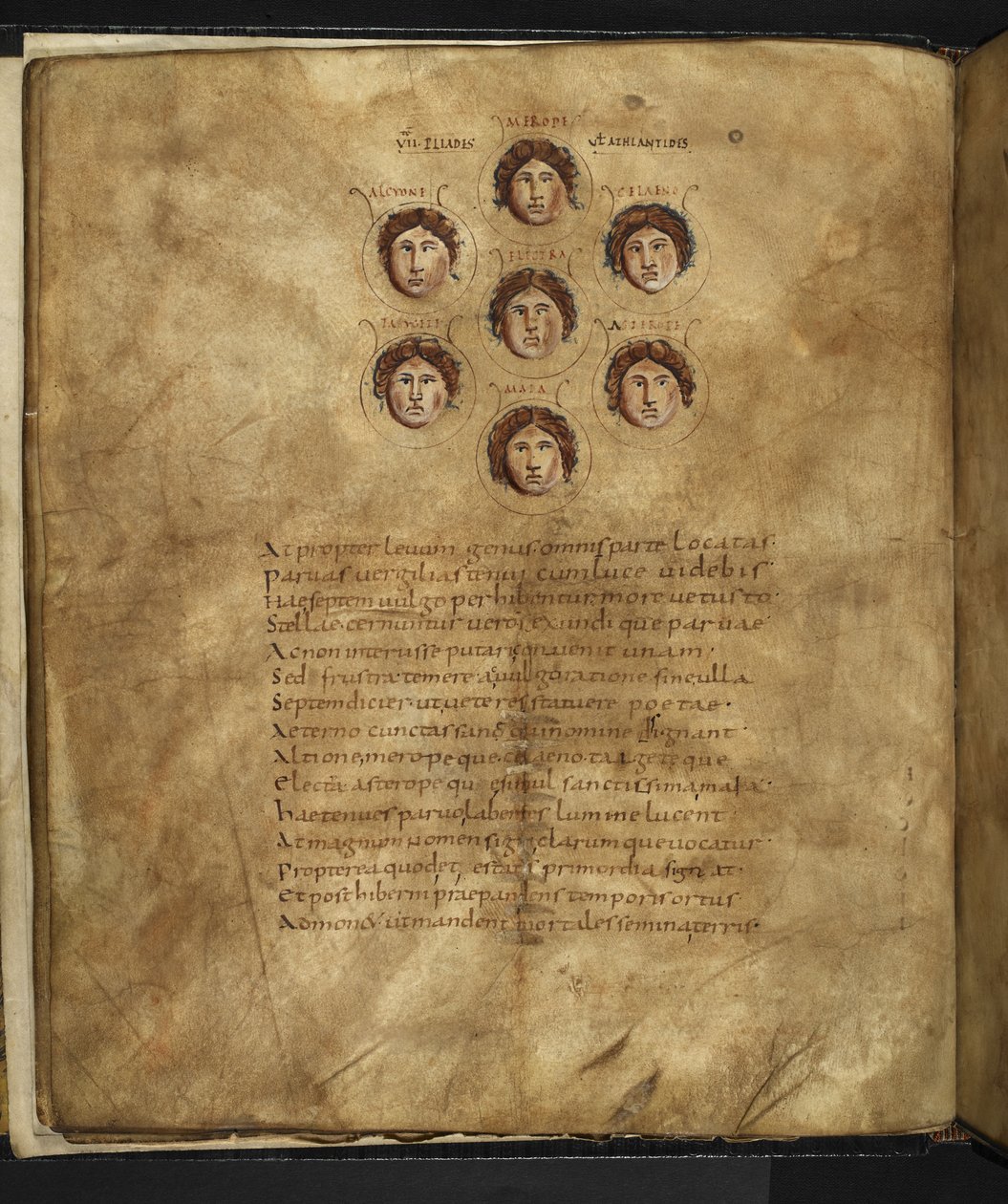 Harley 647، f.4v رسم توضيحي لوجوه Pleiades ، سبع أخوات عاشوا في السماء كنجوم ، مع أسمائهم منقوشة حولهم ، من "Aratus" لماركوس توليوس شيشرون (ورق) بواسطة المدرسة الفرنسية