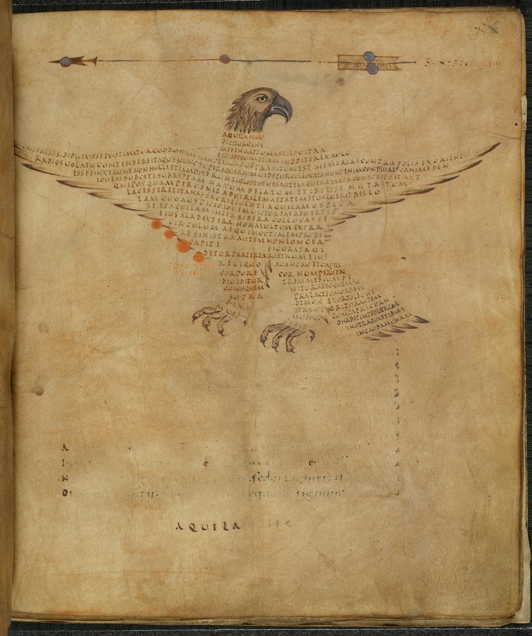 Harley 647، f.7 رسم توضيحي لكوكبة "Aquila the eagle" ، من "Aratea ، مع مقتطفات من Hyginus