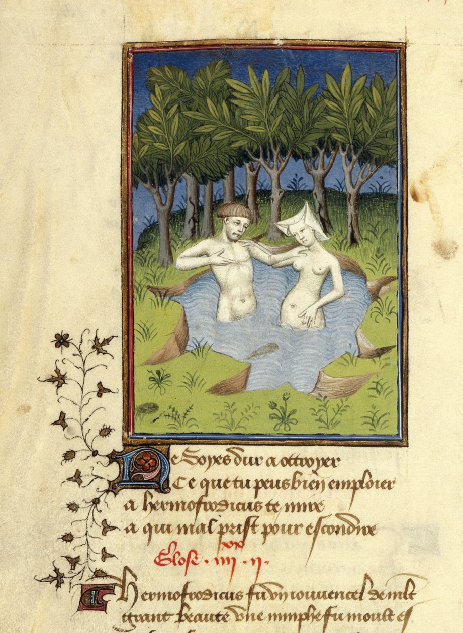 Harley MS 4431، f.132v، Miniature of Hermaphroditus و nymph Salmacis الاستحمام في بحيرة ، من L