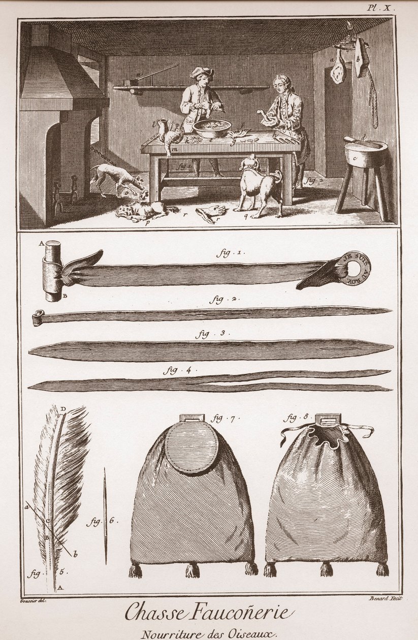 الصيد - الصيد بالصقور - غذاء الطيور - النقش بواسطة Benard d'apres Goussier - "" الموسوعة الكبرى ، ou Dictionnaire Raisonne des Sciences، des Arts et des Metiers "(موسوعة أو قاموس العلوم والفنون والمهن) بقلم دينيس ديدرو ( 1713 بواسطة المدرسة الفرنسية
