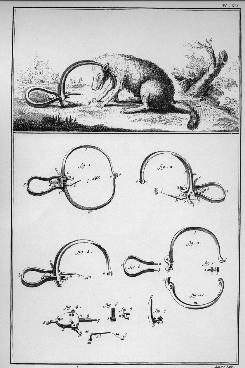 الصيد - الثعلب الذي تم اصطياده في Trackenard (Piege) - "" The Great Encyclopedie، ou Dictionnaire Raisonne des Sciences، des Arts et des Metiers "" (موسوعة أو قاموس العلوم والفنون والمهن) بقلم دينيس ديدرو (1713-1784) وجان دالمبرت بواسطة المدرسة الفرنسية