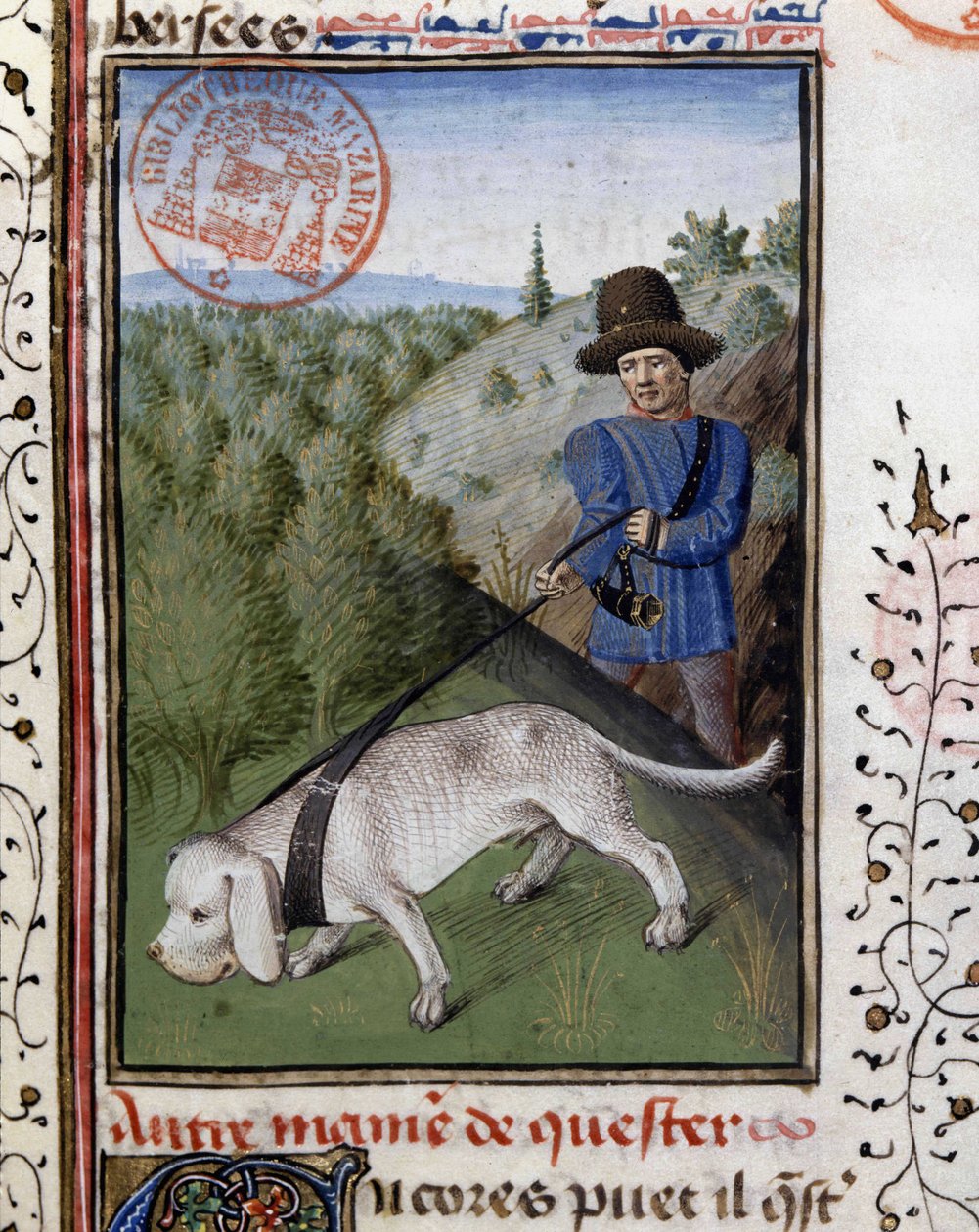 Hunting dog held on a flairing leash - in “” Book of Hunting by Gaston Phoebus, Count of Foix, Lord of Béarn”” بواسطة المدرسة الفرنسية
