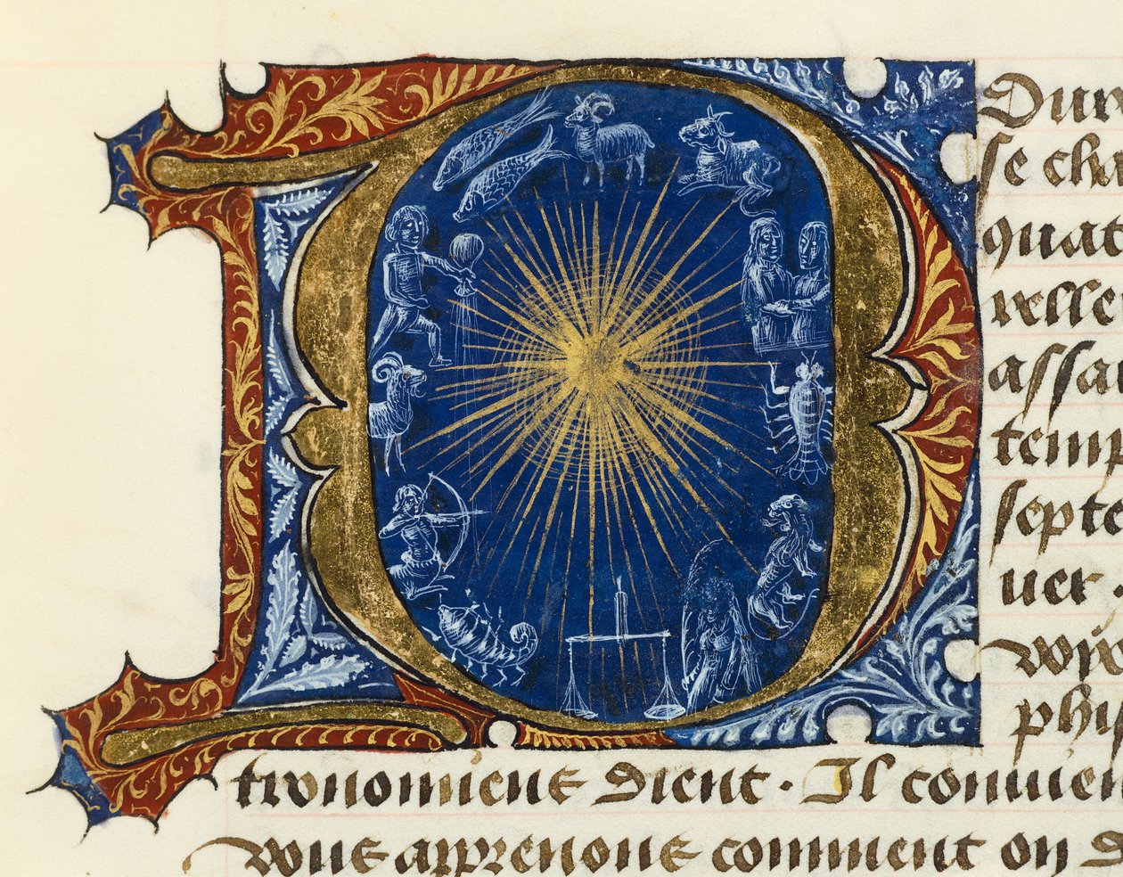 Illuminated initial capital letter D, from Treaty of Medicine Aldebrande of Florence بواسطة المدرسة الفرنسية