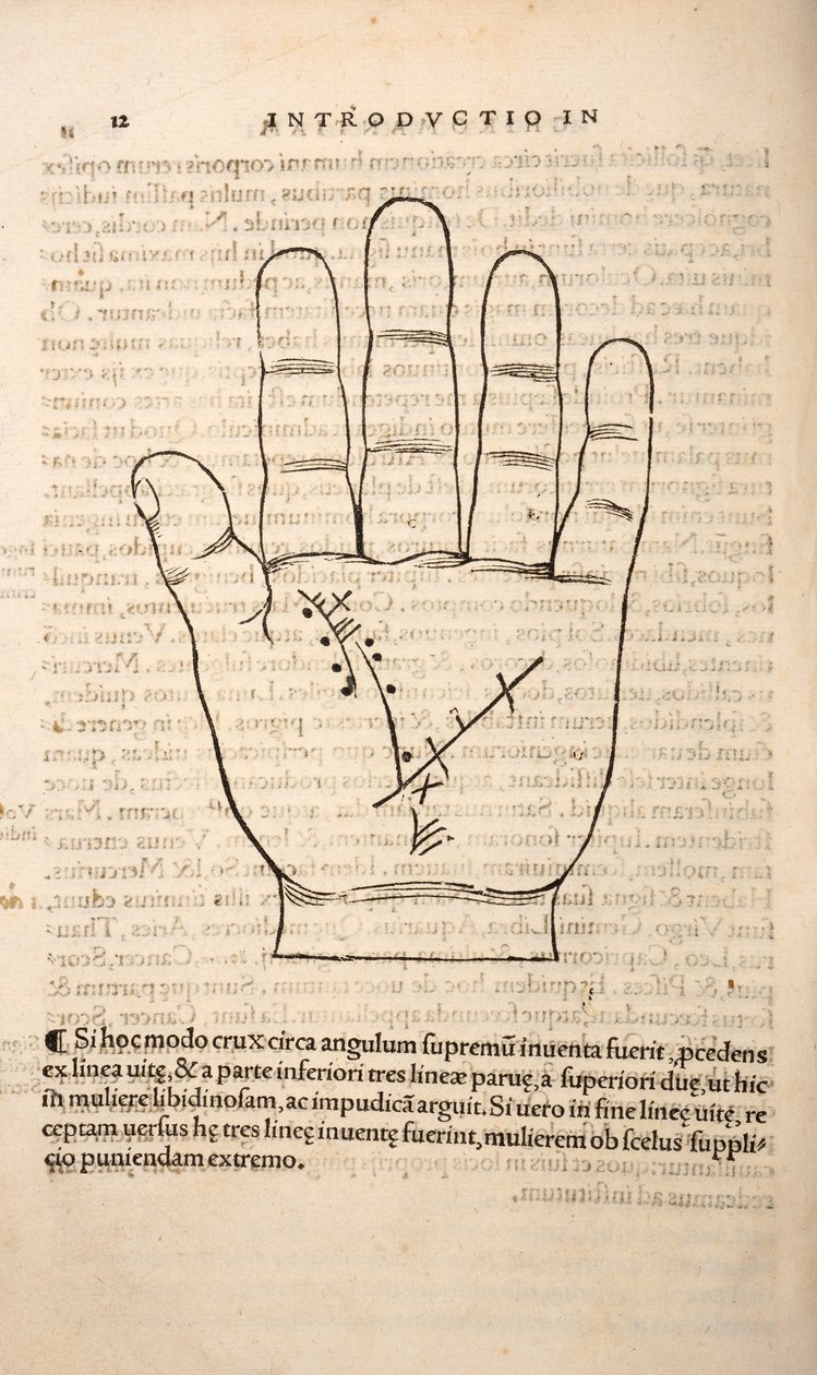 رسم من Chiromantia بواسطة Joannes Indagioe ، ستراسبورغ ، 1531 (طباعة ونقش) بواسطة المدرسة الفرنسية
