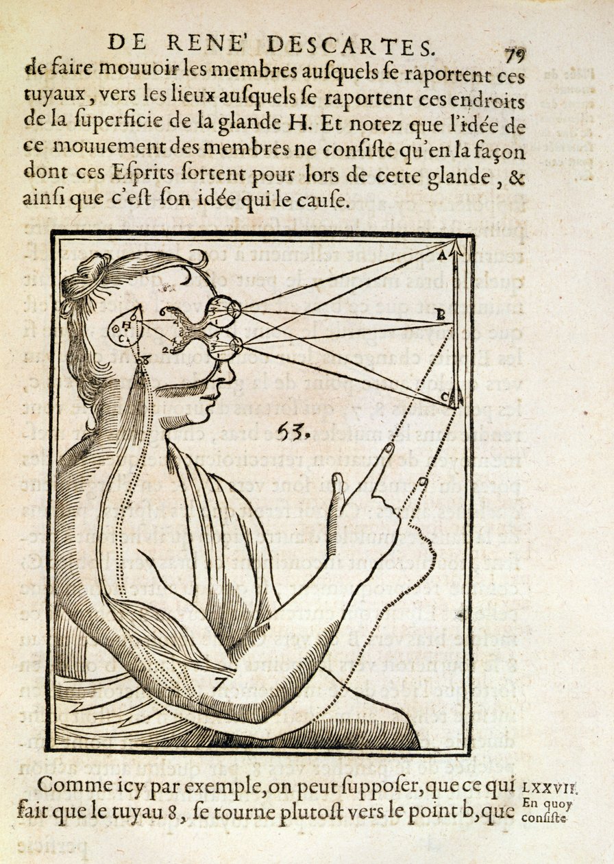 رسم توضيحي من شخصيات دي هومين بقلم رينيه ديكارت (1596-1650) نشر في لاهاي ، 1662 بواسطة المدرسة الفرنسية