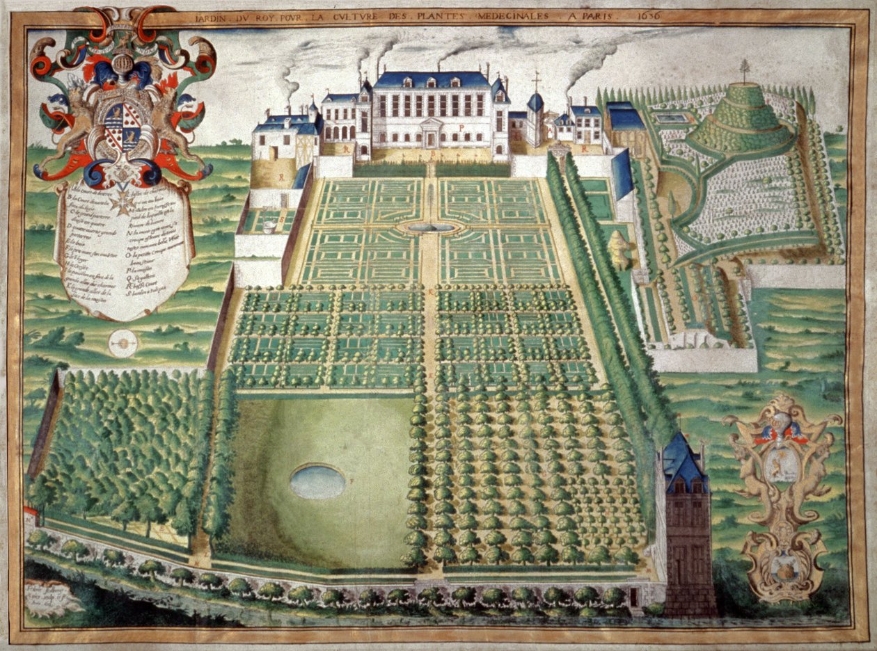 حديقة Jardin des Plantes ، باريس. 1636 (ألوان مائية) بواسطة المدرسة الفرنسية