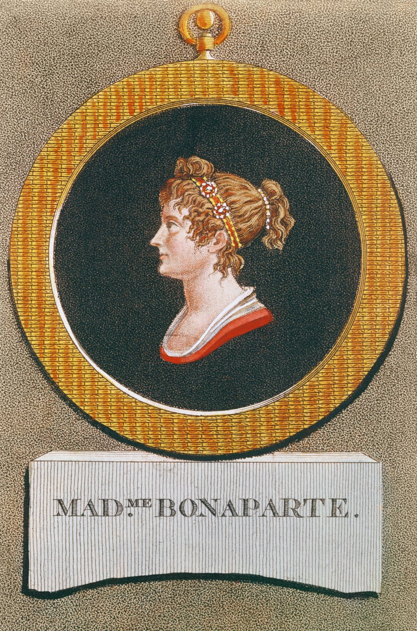 جوزفين بونابرت (1763-1814) بواسطة المدرسة الفرنسية