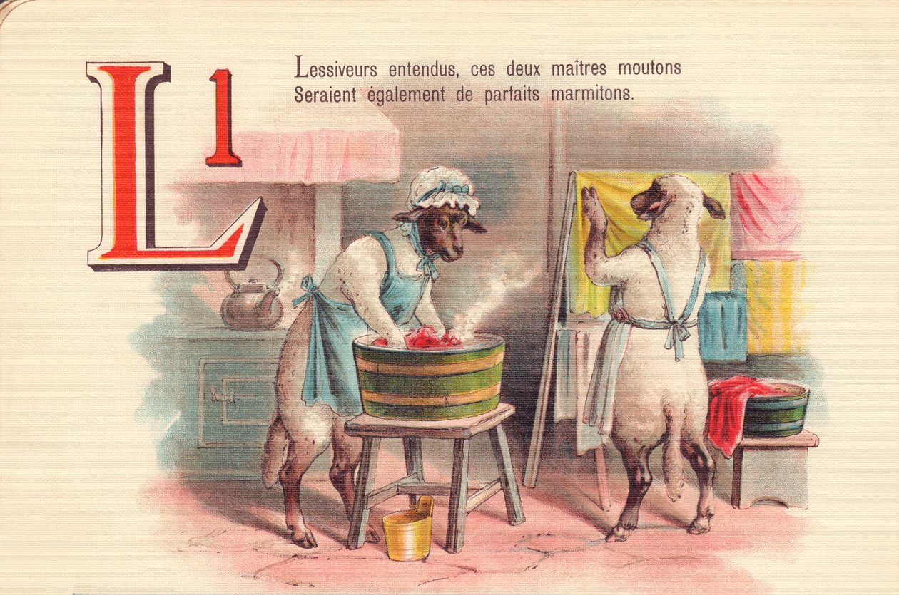 L: سمعت منظفات الغسيل ، فهذان الخروفان الرئيسيان سيكونان أيضًا قدورًا مثالية بواسطة المدرسة الفرنسية