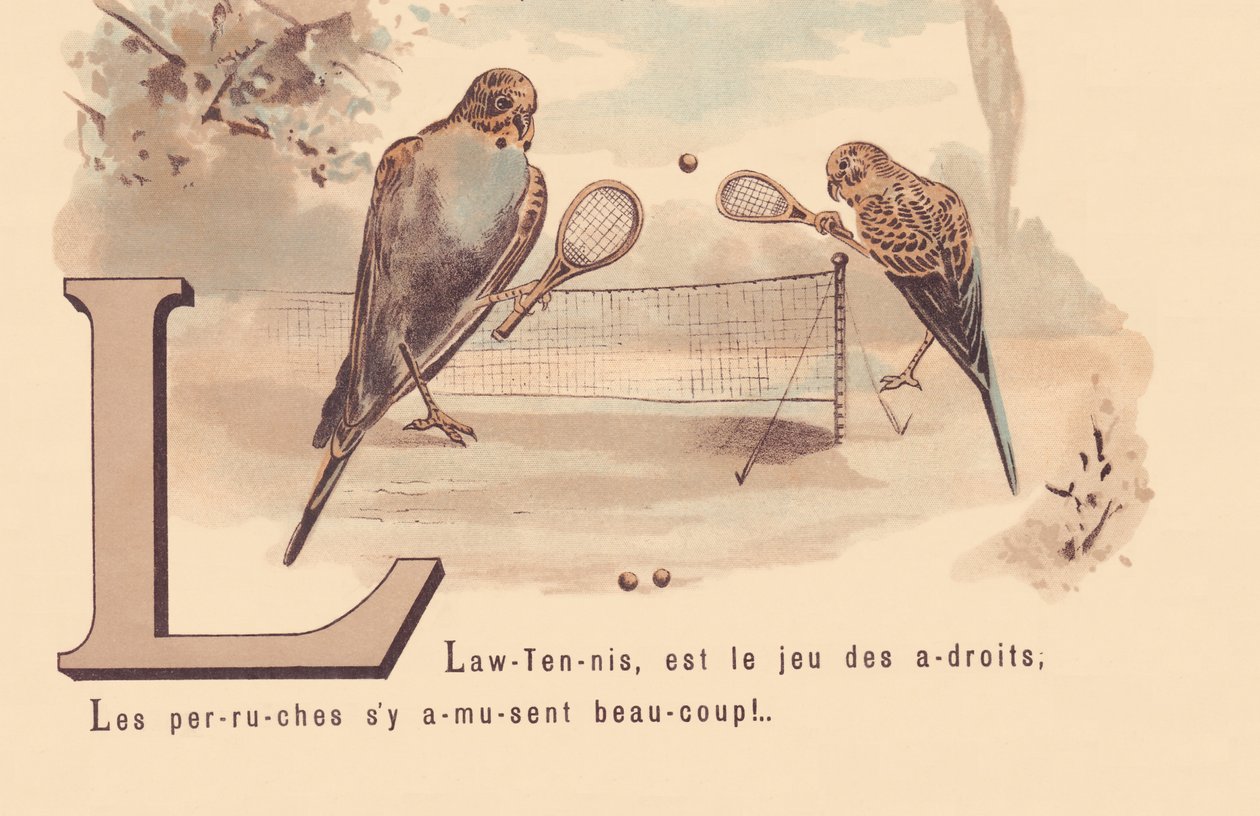 L: Lawn-Tennis هي لعبة الذكاء ؛ تتمتع الببغاوات بالكثير من المرح! بواسطة المدرسة الفرنسية
