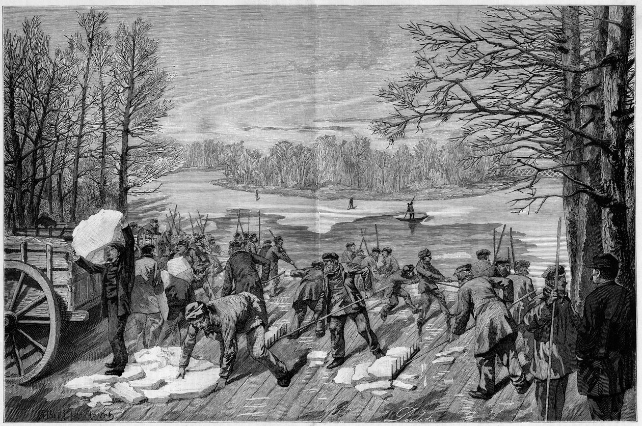 حصاد الجليد من البحيرات المتجمدة في Bois de Vincennes ، في "The Illustrous World" "1887. بواسطة المدرسة الفرنسية
