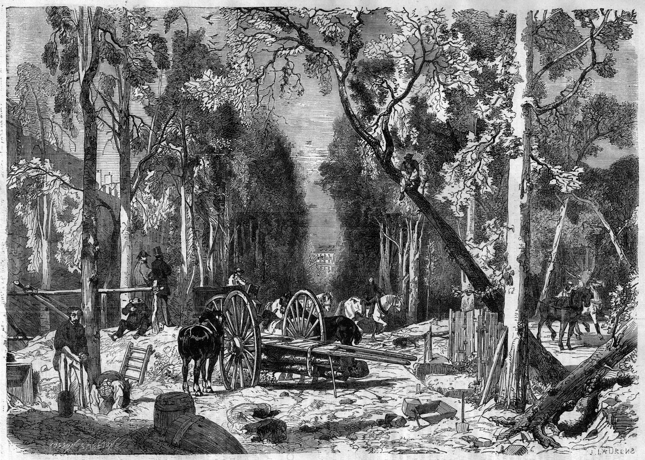 Le bucheron au jardin de Luxembourg في باريس عام 1870 - نقش من عام 1870 بواسطة المدرسة الفرنسية