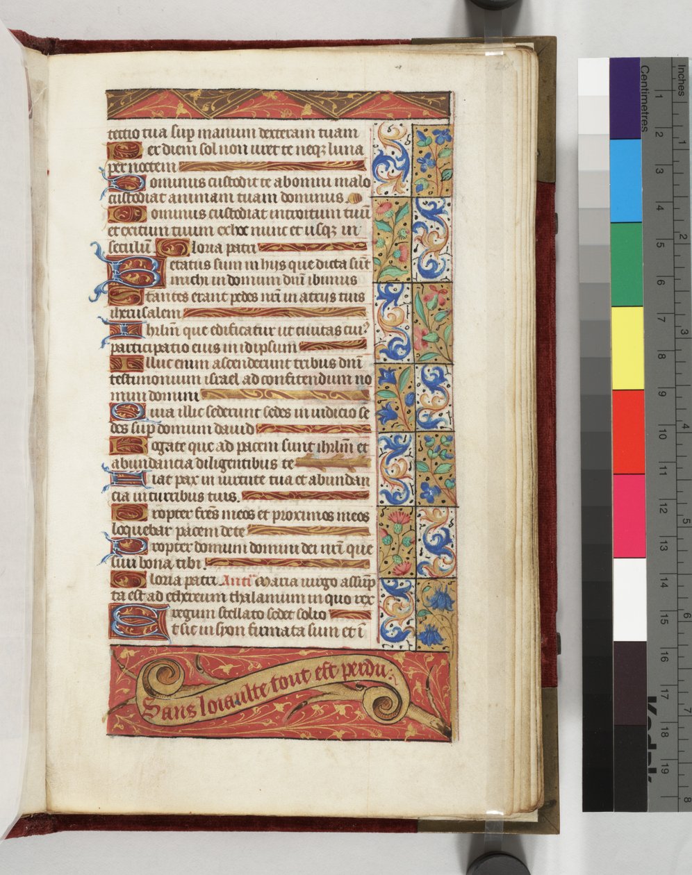 Lewis E 113 f.20r صفحة نص مزخرفة تحمل شعار "بدون ولاء" ، كل شيء مفقود ، 1500-15 بواسطة المدرسة الفرنسية