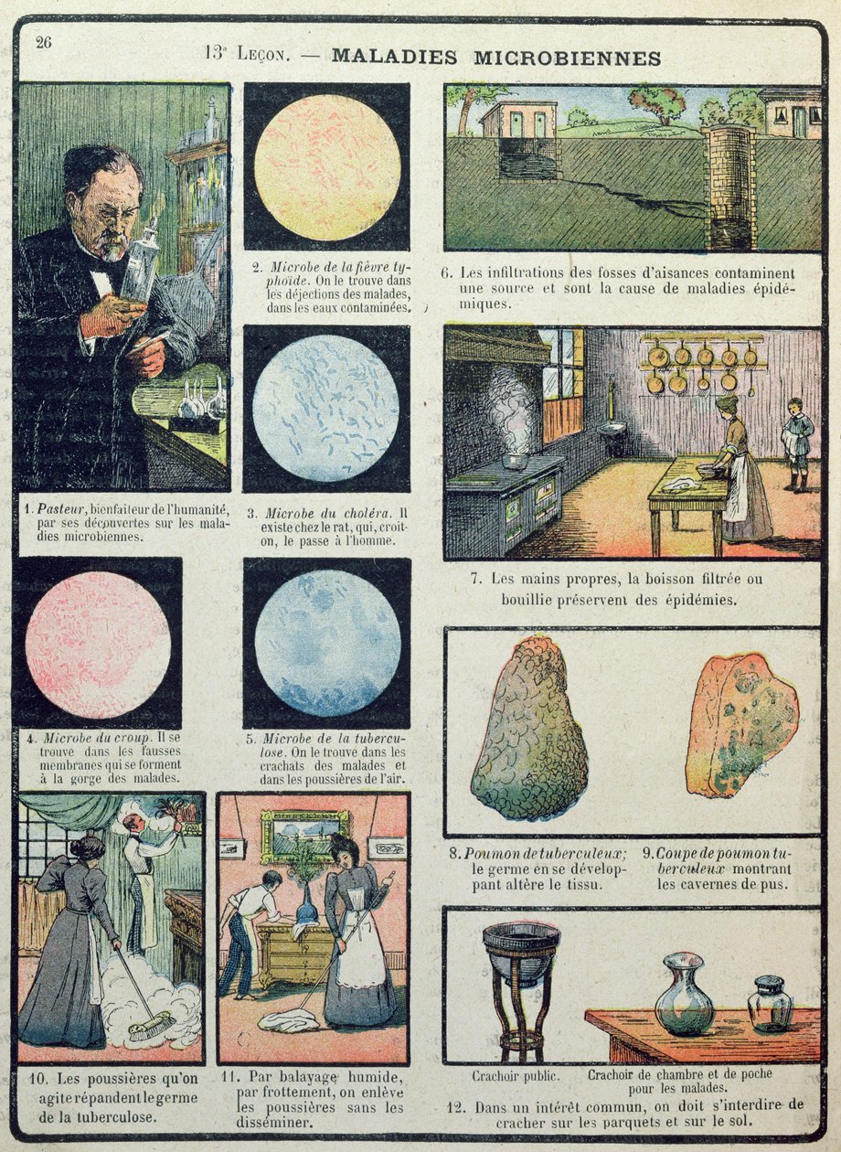لويس باستور (1822-1895) والأمراض البكتيرية ، من Les Sciences Physiques et Naturelles ، باريس ، 1908 بواسطة المدرسة الفرنسية