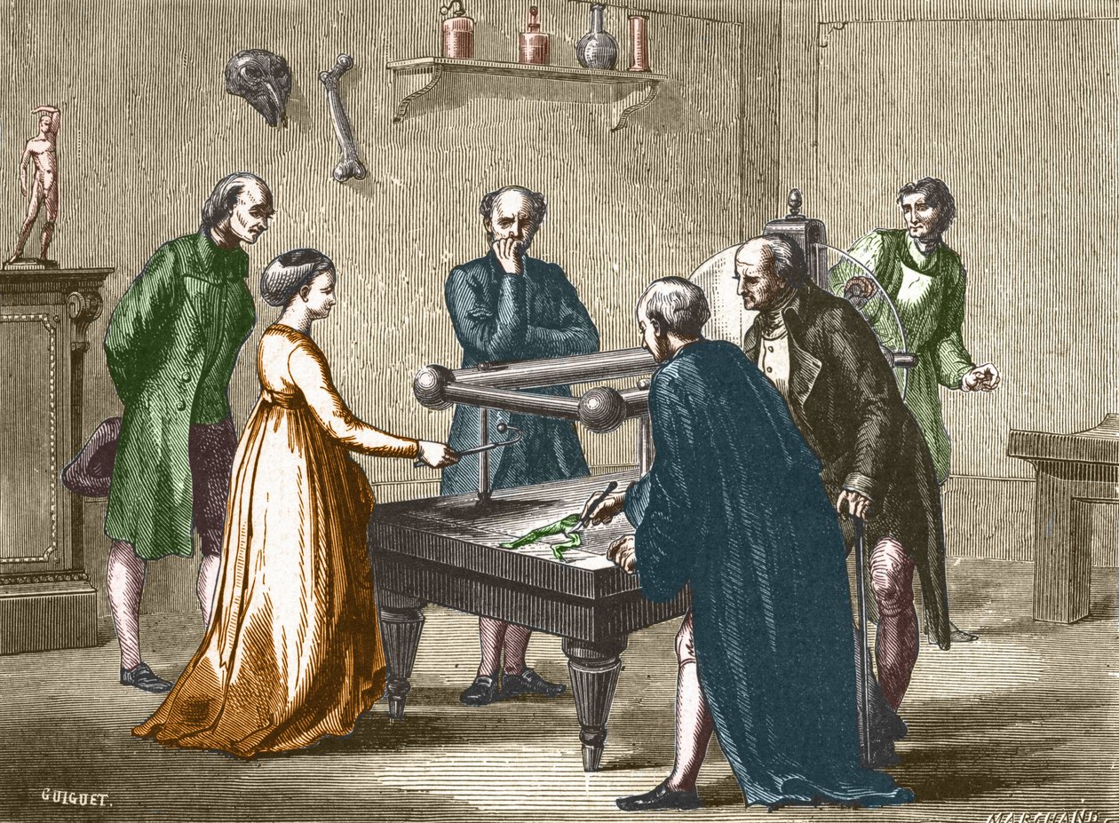 اكتشف لويجي جالفاني ، الأستاذ في بولونيا ، في عام 1780 ، تهيج عضلات الضفادع بالكهرباء - في ألبوم العلوم ؛ علماء لامعون الاكتشافات العظيمة "" "1896. بواسطة المدرسة الفرنسية