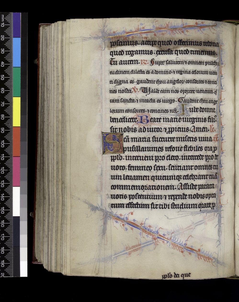 MS 300 f.189v ، Matins ، من سفر المزامير وساعات إيزابيلا الفرنسية ، باريس ، حوالي 1265-70 بواسطة المدرسة الفرنسية