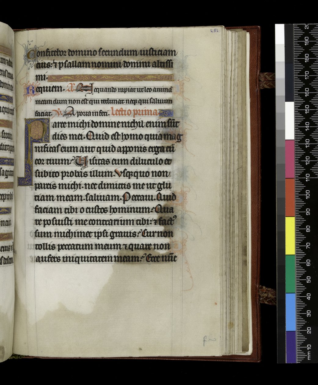 MS 300 f.251r ، من سفر المزامير وساعات إيزابيلا الفرنسية ، باريس ، حوالي 1265-70 (قلم حبر وحبر وتمبرا على ورق) بواسطة المدرسة الفرنسية