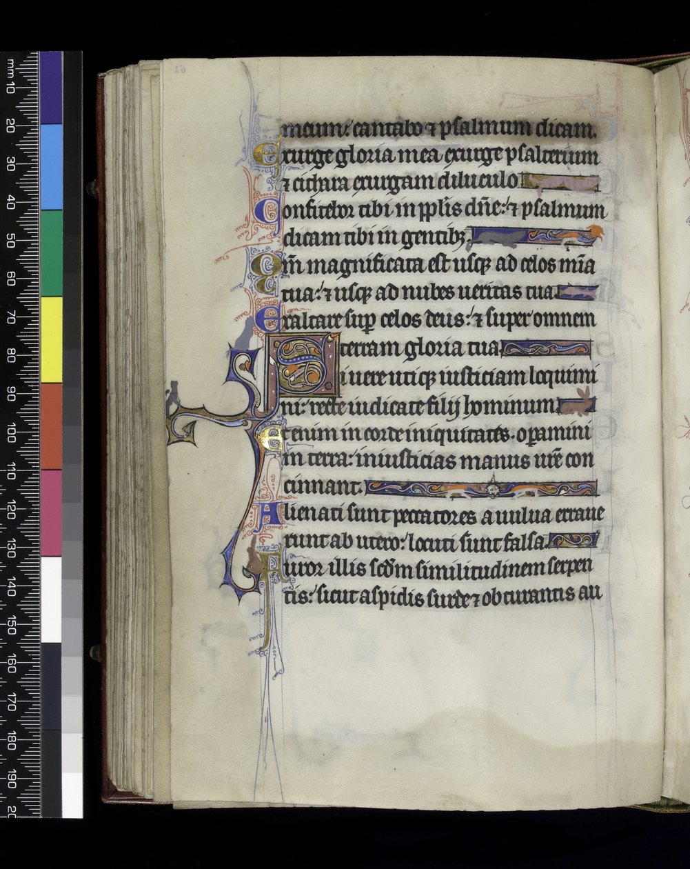MS 300 f.61v ، ورقة من سفر المزامير وساعات إيزابيلا الفرنسية ، باريس ، حوالي 1265-70 بواسطة المدرسة الفرنسية