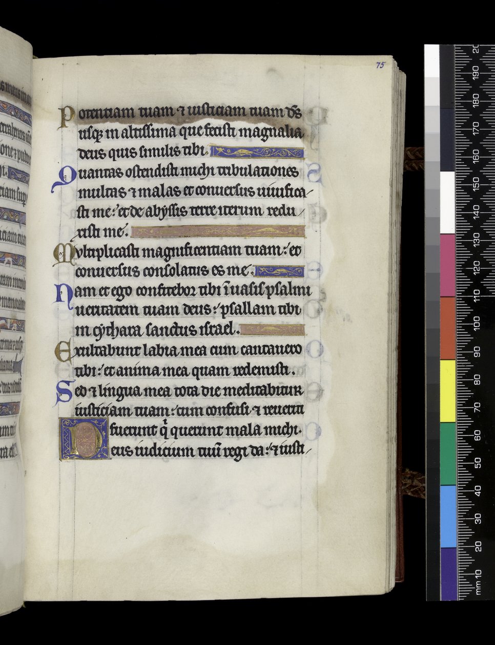 MS 300 f.75r ، من سفر المزامير وساعات إيزابيلا الفرنسية ، باريس ، حوالي 1265-70 (قلم حبر وحبر وتمبرا على ورق) بواسطة المدرسة الفرنسية