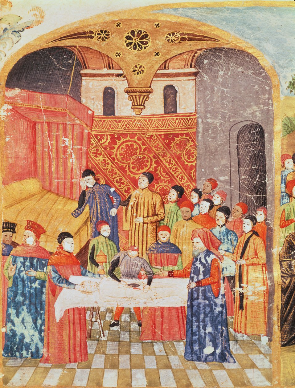 Ms 1335 f.219 تشريح جسم الإسكندر الأكبر ، من Vie dAlexandre le Grand بواسطة المدرسة الفرنسية