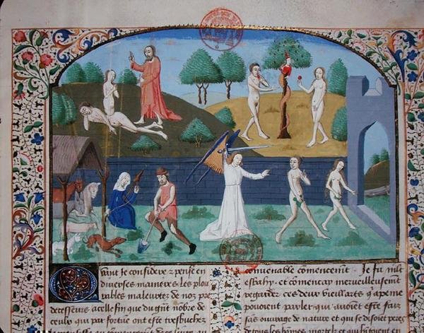 السيدة 3878 خلق حواء ، الإغراء وطرد آدم وحواء ، من "Des cas des nobles hommes et femmes" ، بقلم جيوفاني بوكاتشيو (1313-75) (ورق) بواسطة المدرسة الفرنسية