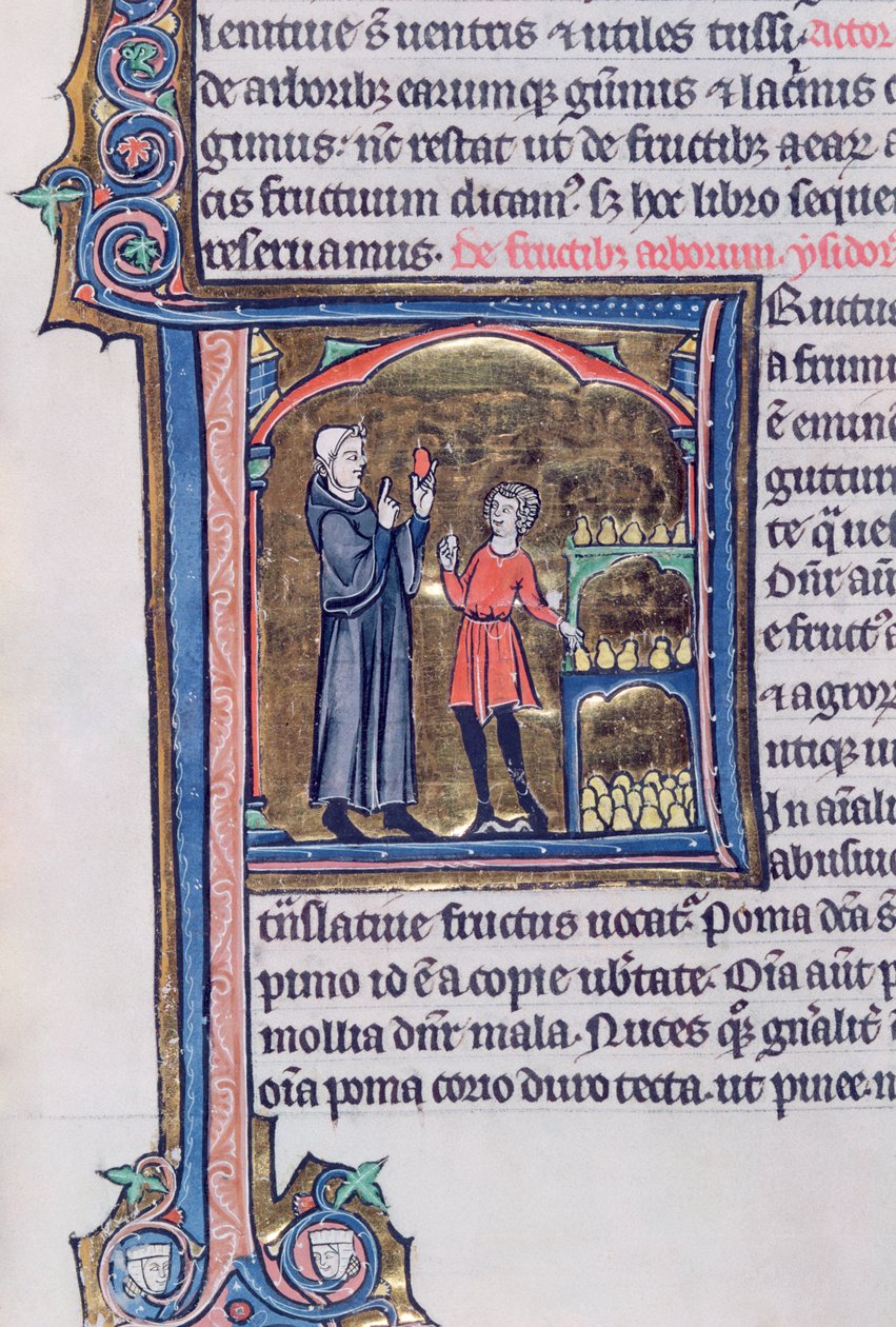 Ms 426 fol.135 تعليم أفضل طريقة لحفظ الكمثرى ، من Le Miroir de la Nature بقلم فنسنت دي بوفيز بواسطة المدرسة الفرنسية