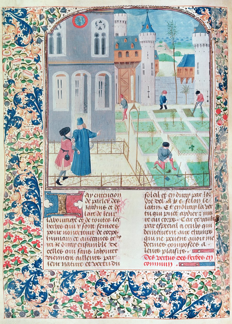 السيدة 5064 f.151v الحديقة ، رسم توضيحي من Le Livre des Prouffitz Champestres بقلم بيترو دي كريسينزي (1230-132021) بواسطة المدرسة الفرنسية