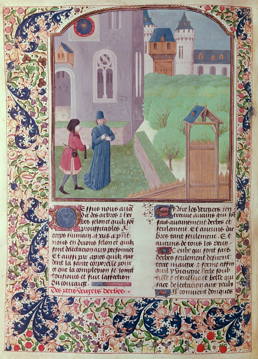السيدة 5064 f.202v البستان ، رسم توضيحي من Le Livre des Prouffitz Champestres بقلم بيترو دي كريسينزي (1230-132021) بواسطة المدرسة الفرنسية