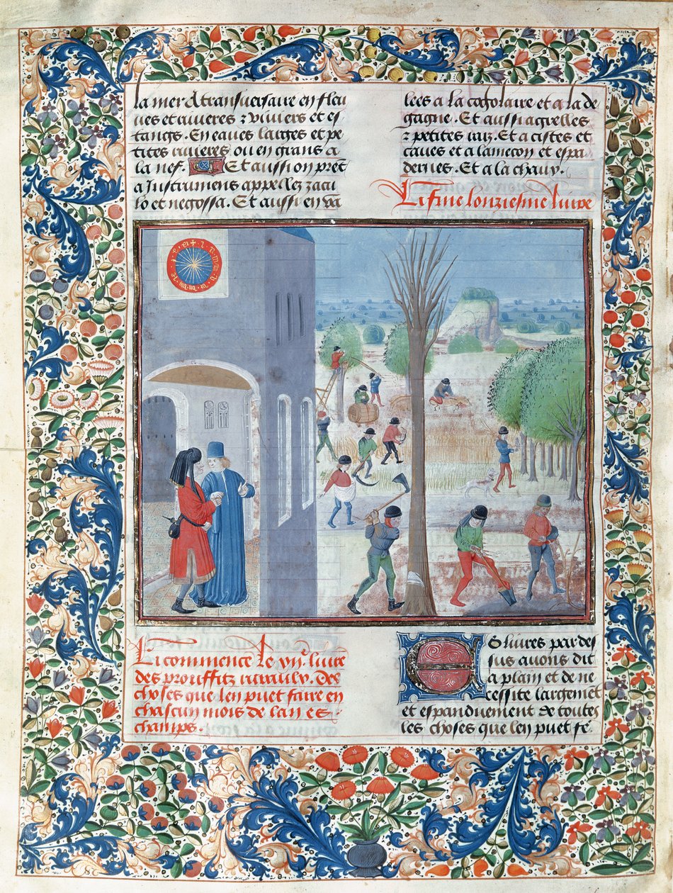 السيدة 5064 f.299v المهن لكل شهر من شهور السنة ، توضيح من Le Livre des Prouffitz Champestres بواسطة Pietro de Crescenzi (1230-132021) بواسطة المدرسة الفرنسية