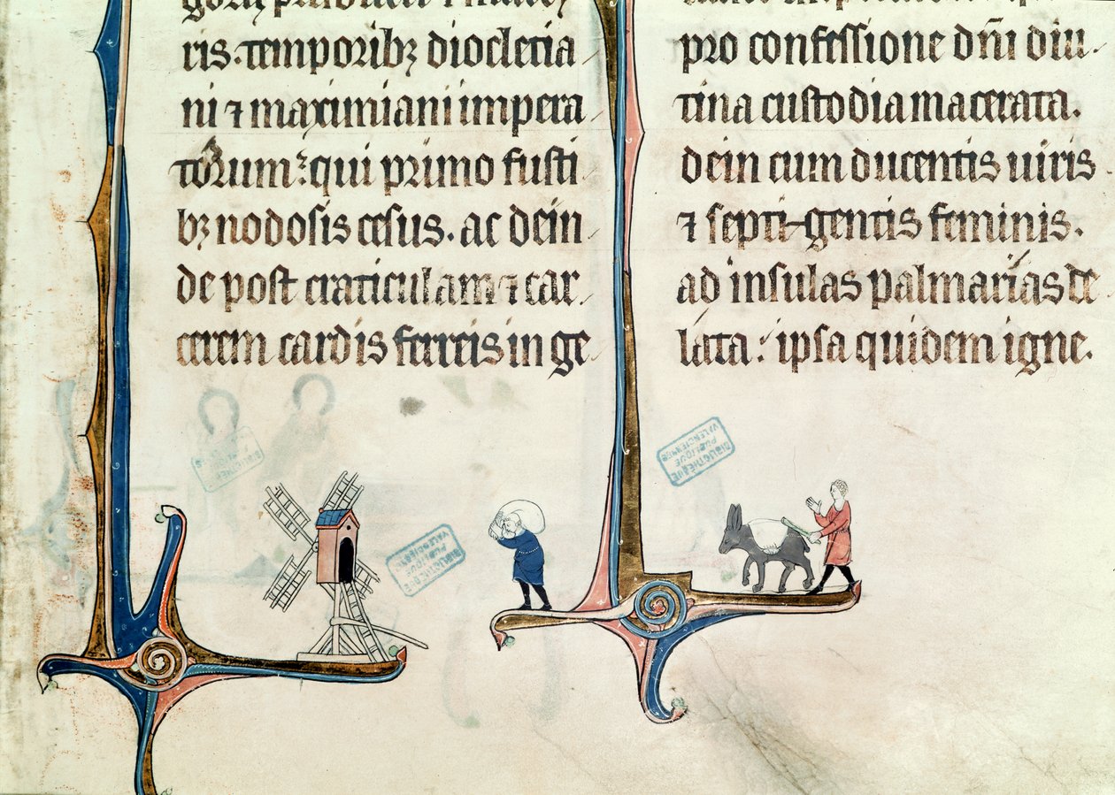 السيدة 838 fol.55 رجل يقود حماره يحمل أكياس قمح إلى طاحونة هوائية ، من Obituaire de Notre Dame de Pres ، بعد عام 1270 بواسطة المدرسة الفرنسية