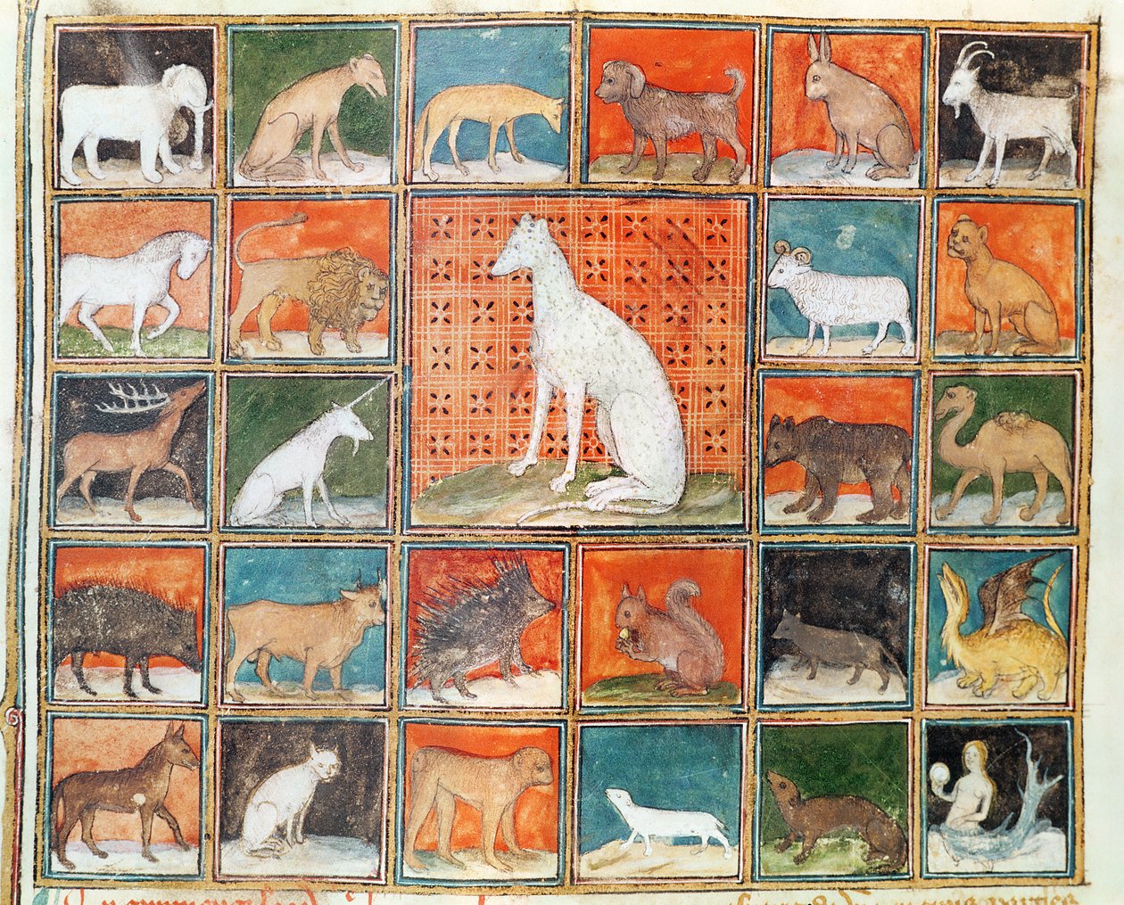 Ms 993 fol.254v خصائص الوحوش: الثدييات ، من Le Livre des Proprietes des Choses بواسطة Jean Cordichon بواسطة المدرسة الفرنسية