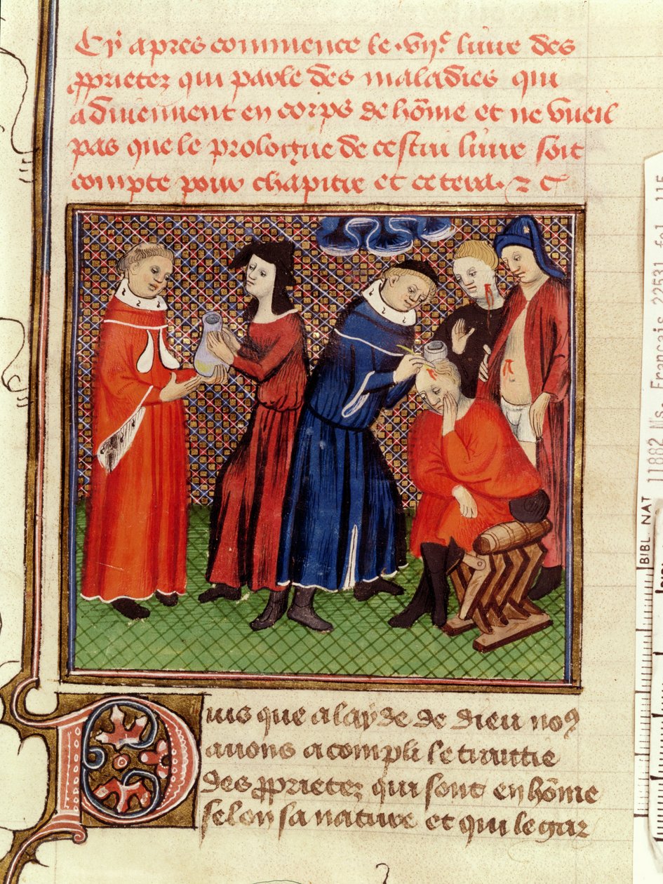 السيدة Fr 22531 Fol.115 فحص البول وشفاء الجروح ، من Le Livre des Proprietes des Choses بواسطة Barthelemy lAnglais ، c.1410-15 بواسطة المدرسة الفرنسية