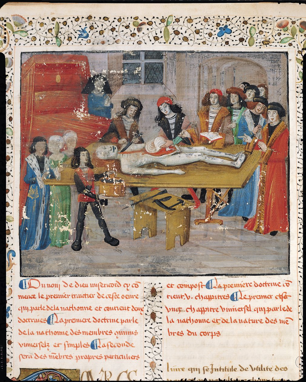 السيدة H 184 fol.14v درس تشريح في كلية الطب في مونبلييه ، من "La Grande Chirurgie" بقلم غي دي تشولياك ، 1363 بواسطة المدرسة الفرنسية