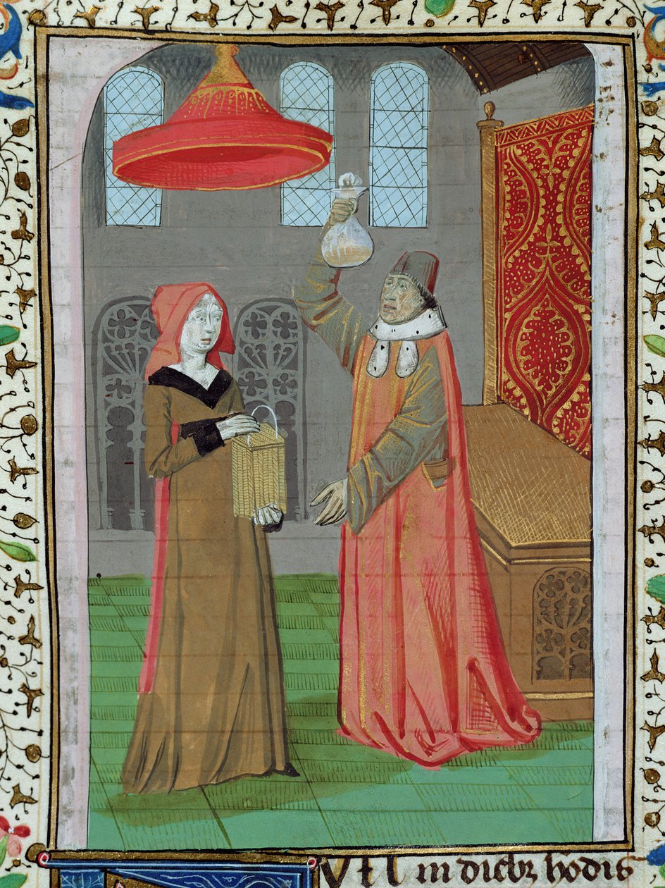 السيدة H 7 fol.164r طبيب يفحص بول سانت إليزابيث لمعرفة ما إذا كانت حاملاً ، من كتاب جان الثاني والعشرين بواسطة المدرسة الفرنسية