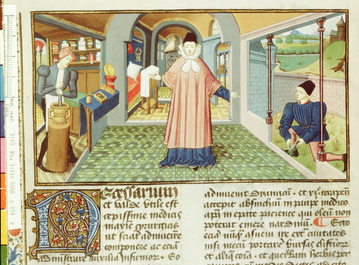 السيدة Lat 6966 fol.154v قطع النباتات وإعداد الطب ، من LAntidotaire بقلم برنارد دي جوردون بواسطة المدرسة الفرنسية