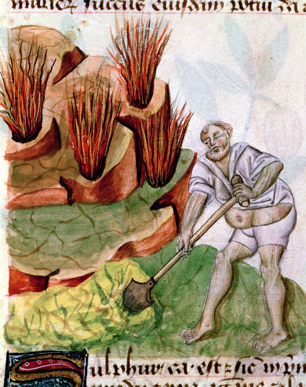 السيدة لات 993 L.9.28 f.123v تبحث عن الكبريت من Dioscorides De Herbis بواسطة المدرسة الفرنسية